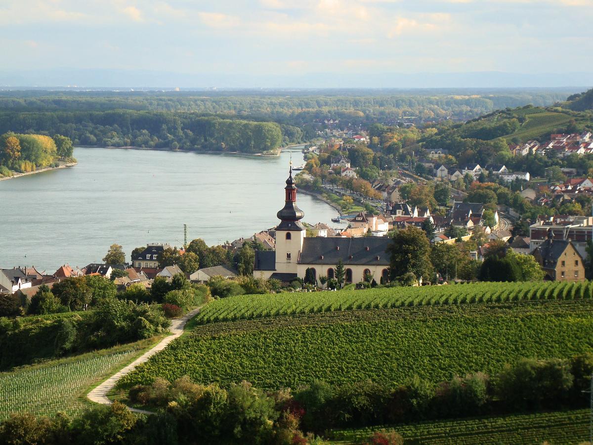 Best Western Wein- Und Parkhotel Nierstein Eksteriør billede